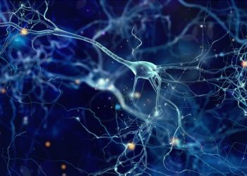 Neurologists Warn Of Brain Disorders Due To Mild Coronavirus Symptoms 12 Neuron display in brain
