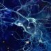 Neurologists Warn Of Brain Disorders Due To Mild Coronavirus Symptoms 9 Neuron display in brain