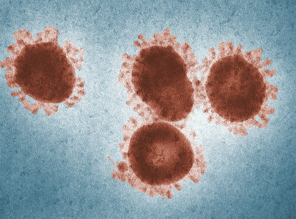 Coronavirus display under microscope