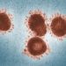 Coronavirus Is Airborne: Experts Vs. WHO 9 Coronavirus display under microscope