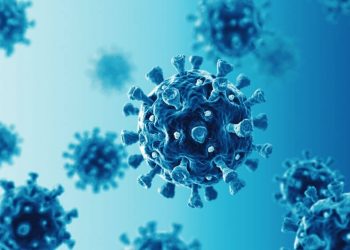 3D Display of Coronavirus