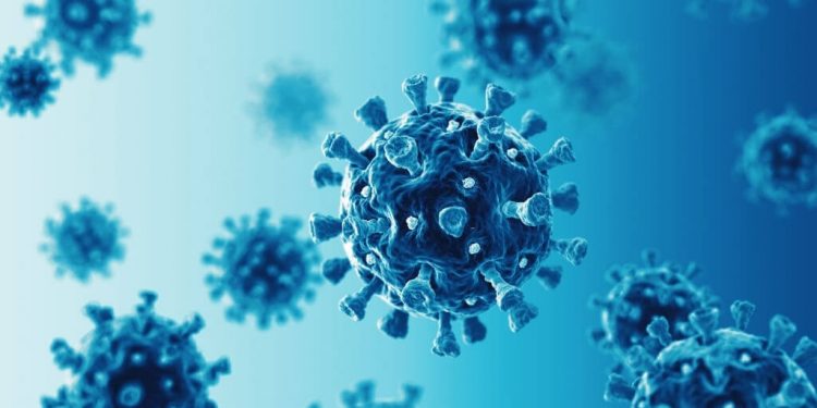 COVID-19: Countries Headed In The Wrong Direction, Warns WHO 1 3D Display of Coronavirus