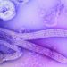 Ebola Virus: History, Types, Symptoms, Prevention, Treatment, And Myths 10 Image of microscopic view of Ebola virus