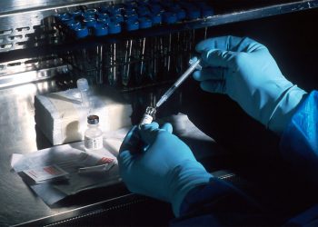 Scientist testing samples in a lab