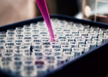 COVAXIN: Bharat Biotech develops COVID-19 vaccine 11 Vaccine testing process in laboratory
