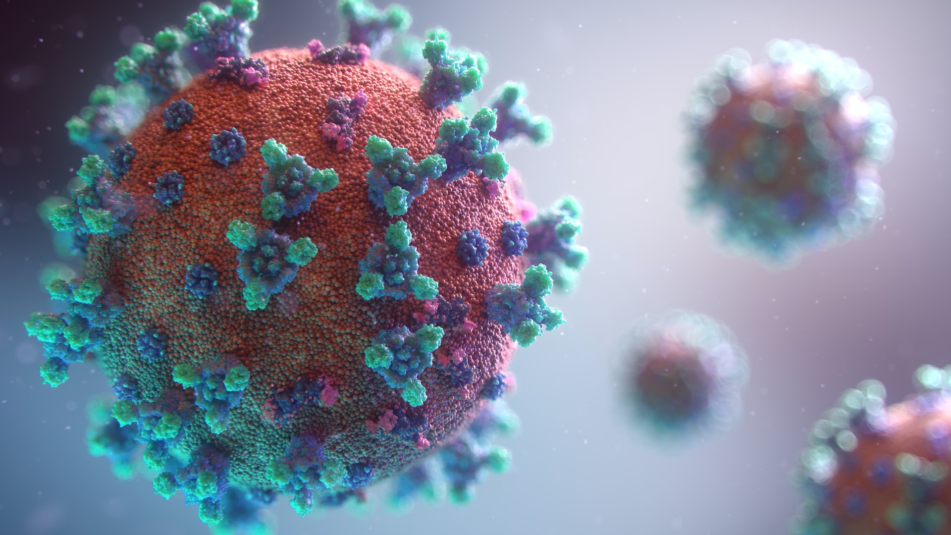 A new visualisation of the Covid-19 virus
