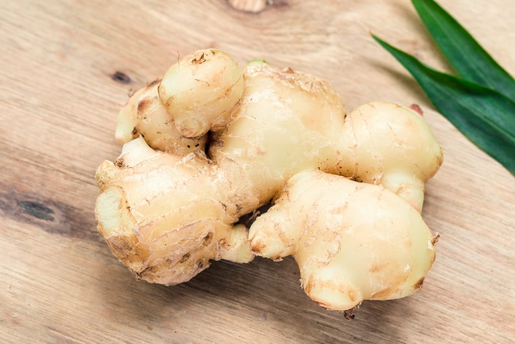 A photo of Ginger