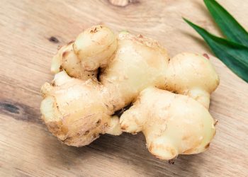 Ginger: Health Benefits, Nutritional Components, And Risk Factors 22 A photo of Ginger