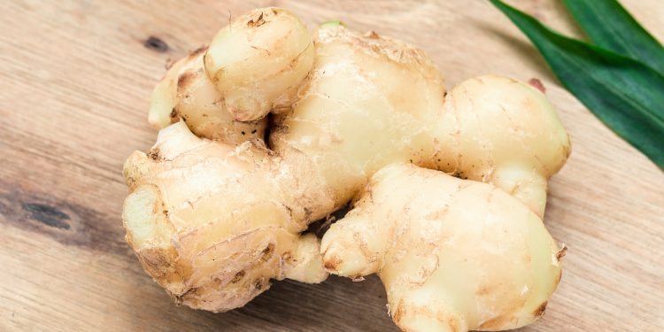 Ginger: Health Benefits, Nutritional Components, And Risk Factors 1 A photo of Ginger
