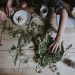 Use of Herbs in Daily Life - A Recipe for Good Health 8 A picture of herbs used in daily life