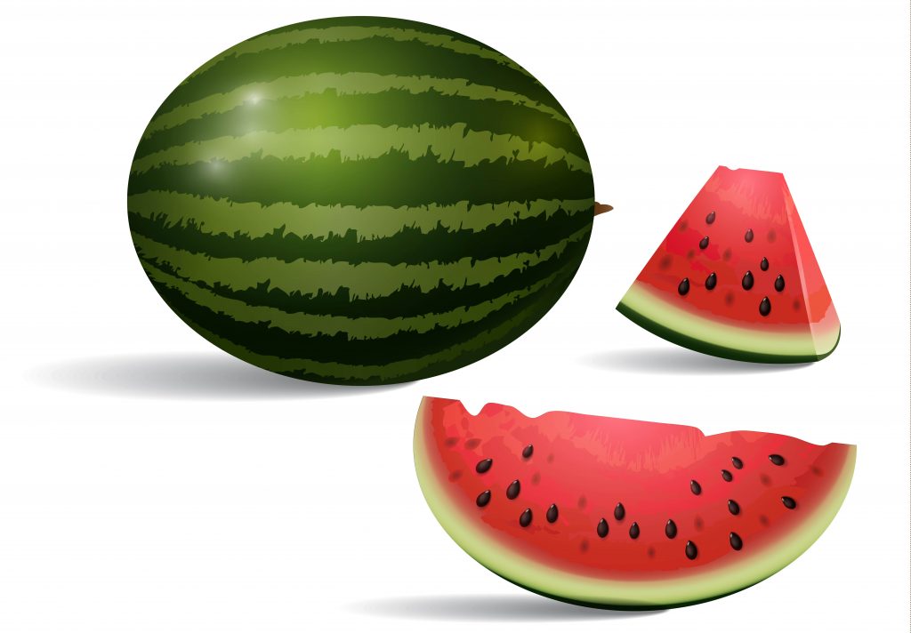 An illustration of Watermelon