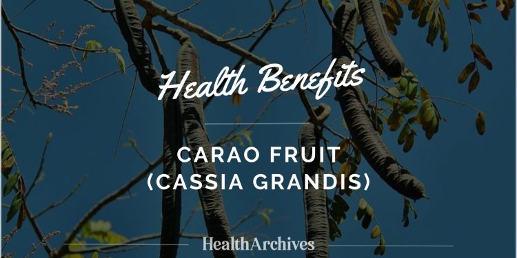 Carao Fruit (Cassia Grandis): Health Benefits of Central America 1 Carao fruit health benefits