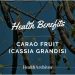 Carao Fruit (Cassia Grandis): Health Benefits of Central America 7 Carao fruit health benefits